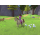 PlayStation Barbie Horse Trails - 1362904 - zdjęcie 2
